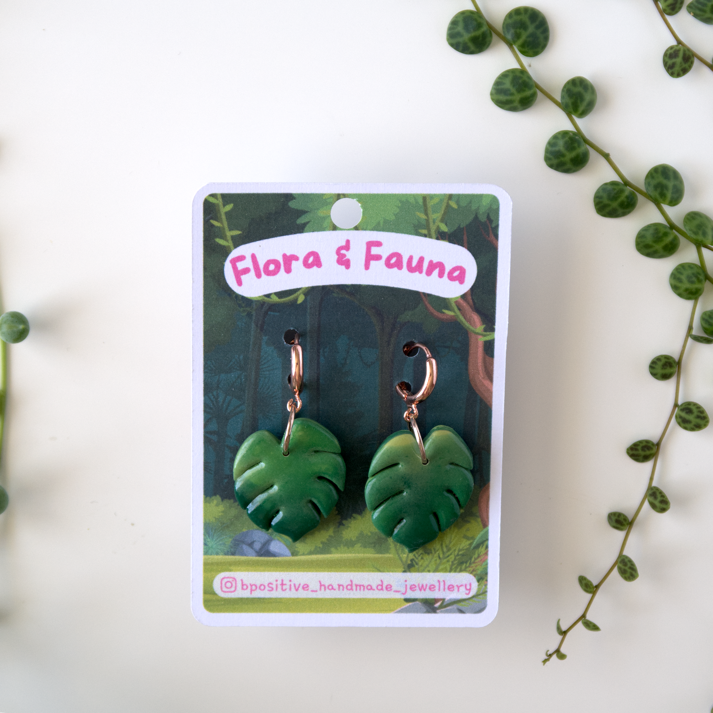 Flora & Fauna: Monstera Huggies