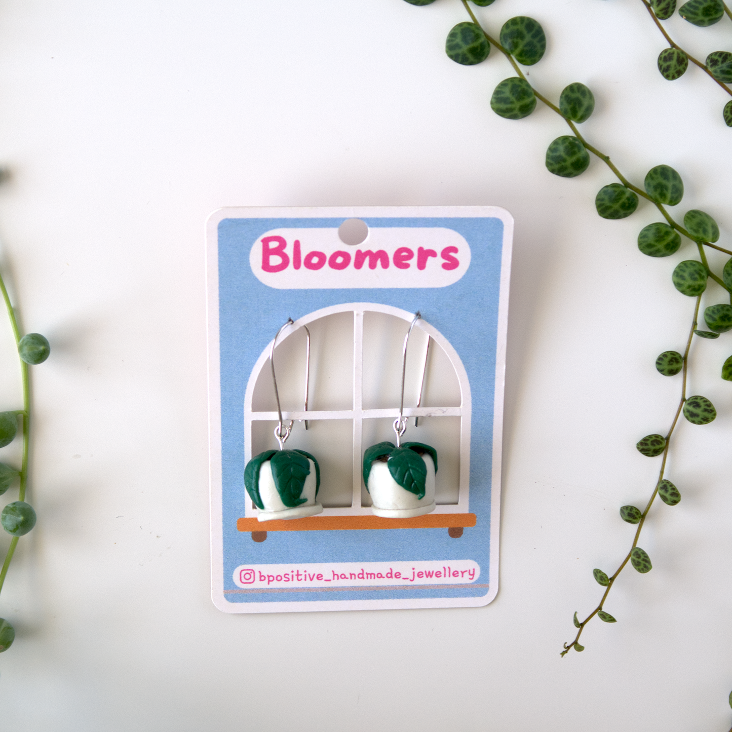 Bloomers: Hanging Plants