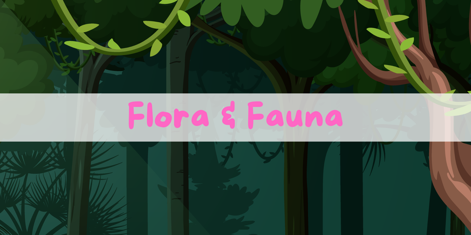 Flora & Fauna Collection